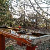 photo 2022-03-28 08-00-51