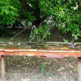 photo 2021-05-25 11-55-10