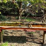 photo 2021-04-17 08-55-26