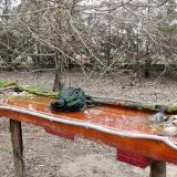 photo 2021-03-24 14-54-44