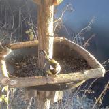 photo 2019-12-30 14-45-41