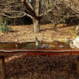 photo 2021-10-26 14-36-24