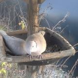 photo 2019-12-29 14-57-33