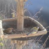 photo 2019-12-31 11-12-12