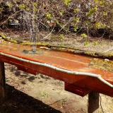 photo 2021-04-07 11-59-39