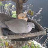 photo 2019-12-04 07-56-42