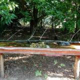 photo 2021-07-24 08-33-10