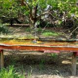 photo 2021-04-27 16-34-55