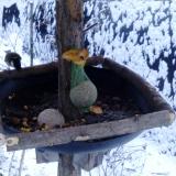 photo 2019-01-20 07-49-04