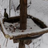 photo 2019-01-08 14-36-20