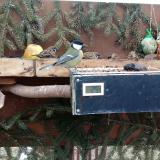 photo 2021-02-01 10-09-34