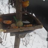 photo 2019-01-24 08-26-53