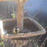 photo 2019-12-26 10-28-40