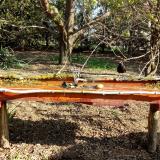 photo 2021-04-10 08-46-12