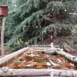 photo 2023-10-20 09-24-43