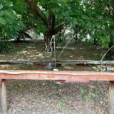 photo 2021-07-02 14-46-02