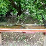 photo 2021-05-19 11-35-44