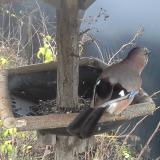 photo 2019-12-23 09-02-51