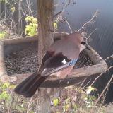 photo 2019-12-19 08-21-16