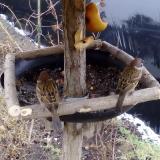 photo 2019-02-05 12-13-56