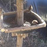 photo 2019-02-23 11-51-26