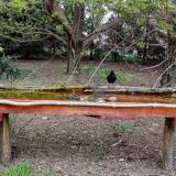 photo 2021-04-16 17-11-32