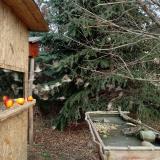 photo 2021-12-22 11-16-43