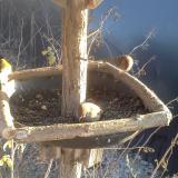 photo 2019-12-30 14-26-37