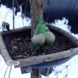 photo 2019-01-09 15-41-41