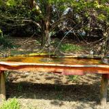 photo 2021-04-21 12-51-17