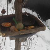 photo 2019-01-23 10-18-12