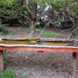 photo 2021-04-22 18-55-27