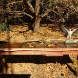 photo 2021-10-24 11-41-04