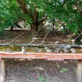 photo 2021-08-06 15-57-55