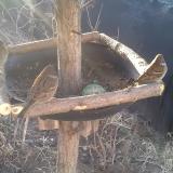 photo 2019-02-13 07-58-38