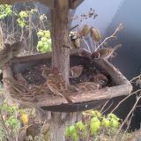 photo 2019-12-12 10-54-22