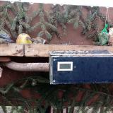 photo 2021-02-10 15-28-39