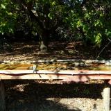 photo 2021-10-04 14-41-38