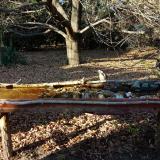 photo 2021-10-25 15-54-48