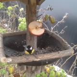 photo 2019-12-04 14-55-09