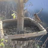 photo 2019-12-25 11-35-11