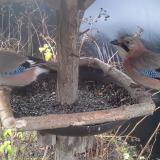 photo 2019-12-25 08-58-55