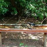 photo 2021-07-14 11-13-52