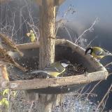 photo 2019-12-29 14-05-33