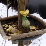 photo 2019-01-12 12-25-54