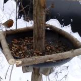 photo 2019-01-08 08-51-14