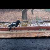 photo 2021-11-22 08-14-00