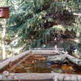 photo 2023-10-16 15-54-02