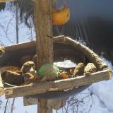 photo 2019-01-27 09-54-50