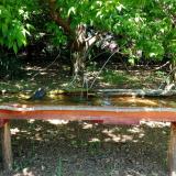 photo 2021-05-10 12-25-56